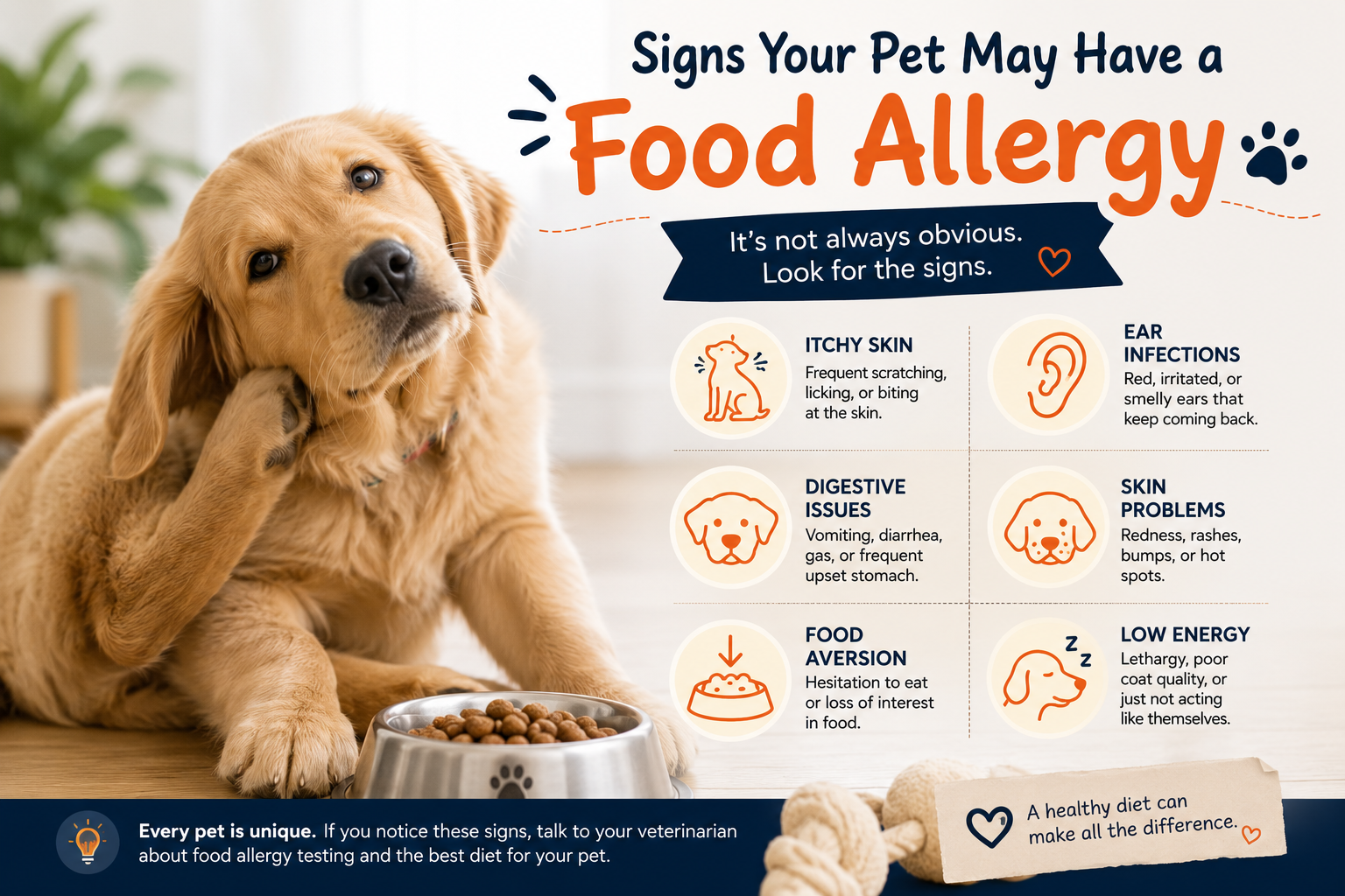 Signs Your Pet May Have a Food Allergy